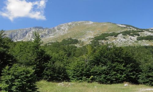 Zdjcie CZARNOGRA / P.N. Durmitor / okolice abljaka / obrazki z Durmitoru