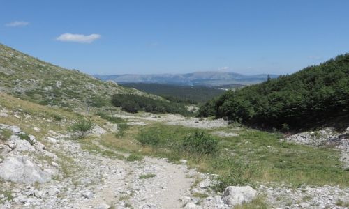 Zdjcie CZARNOGRA / P.N. Durmitor / okolice abljaka / obrazki z Durmitoru