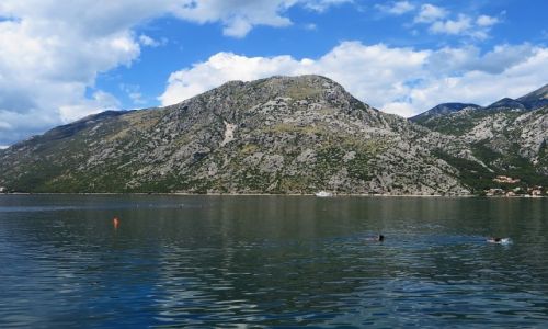 Zdjęcie CZARNOGÓRA / Boka Kotorska / okolice Perasu / Boka Kotorska