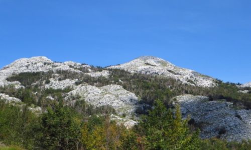 Zdj�cie CZARNOG�RA / p�nocna Czarnog�ra / P.N. Lovcen / Park Narodowy Lovcen
