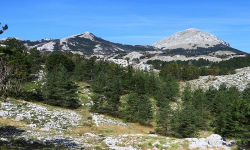 Zdjcie CZARNOGRA / pnocna Czarnogra / P.N. Lovcen / Park Narodowy Lovcen
