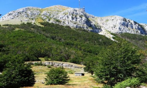 Zdjcie CZARNOGRA / pnocna Czarnogra / P.N. Lovcen / Park Narodowy Lovcen