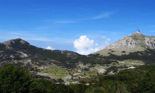 Zdjcie CZARNOGRA / pnocna Czarnogra / P.N. Lovcen / Park Narodowy Lovcen