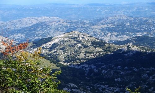 Zdjcie CZARNOGRA / pnocna Czarnogra / P.N. Lovcen / Park Narodowy Lovcen