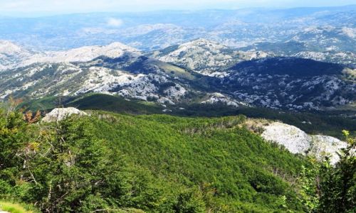 Zdjcie CZARNOGRA / pnocna Czarnogra / P.N. Lovcen / Park Narodowy Lovcen