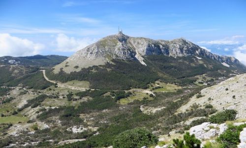 Zdjcie CZARNOGRA / pnocna Czarnogra / P.N. Lovcen / Park Narodowy Lovcen