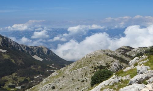 Zdjcie CZARNOGRA / pnocna Czarnogra / P.N. Lovcen / Park Narodowy Lovcen