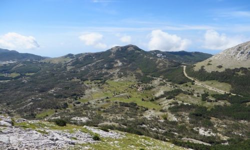 Zdjcie CZARNOGRA / pnocna Czarnogra / P.N. Lovcen / Park Narodowy Lovcen