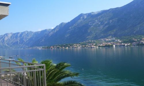 Zdjcie CZARNOGRA / Boka Kotorska / Kotor / Widok z mieszkania