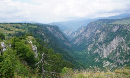 Zdjecie CZARNOGRA / Czarnogra / Durmitor / Park Narodowy Durmitor Kanion