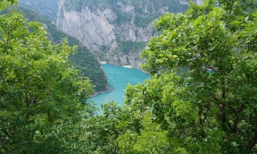 Zdjecie CZARNOGRA / Czarnogra / Pluzine / Czarnogora Pivsko Jezero