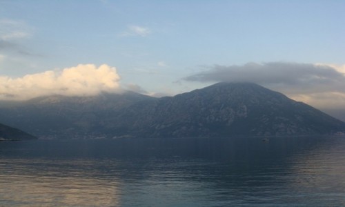 Zdjcie CZARNOGRA / - / Kotor / Zatoka Kotorska