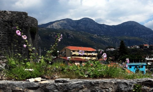 Zdjecie CZARNOGRA / Zatoka Kotorska / Herceg Novi / Malwy