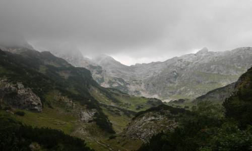 Zdjęcie CZARNOGÓRA / Zabljak / w górach / Durmitor