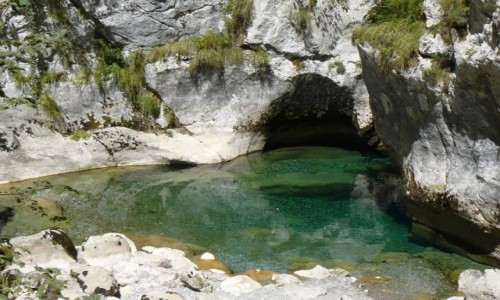 Zdjecie CZARNOGRA / region Kolasin / kanion rzeki Mrvica / Kanion Mrtvicy - urukliwe oczko
