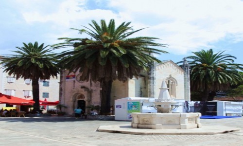 Zdjęcie CZARNOGÓRA / Zatoka Kotorska / Herceg Novi / Pod palmami