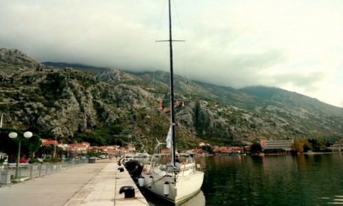 Zdjęcie CZARNOGÓRA / Kotor / Kotor / Kotor