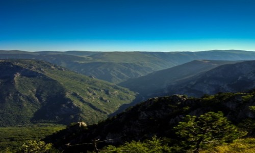 Zdjęcie CZARNOGÓRA / Durmitor / Curevac / Kanion rzeki Tary 2
