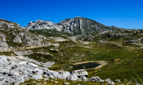 Zdjecie CZARNOGRA / Durmitor / Durmitor / Prutas