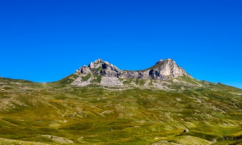 Zdjecie CZARNOGRA / Durmitor / Durmitor / Sedlena Greda