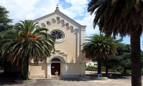 Zdjcie CZARNOGRA / Zatoka Kotorska / Herceg Novi  / Pod palmami