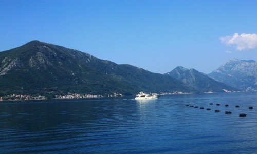 Zdjcie CZARNOGRA / Boka Kotorska / Herceg Novi  / Zatoka Kotorska