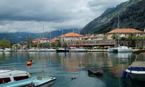 Zdjecie CZARNOGRA / Zatoka Kotorska / Kotor / Zatoka Kotorska