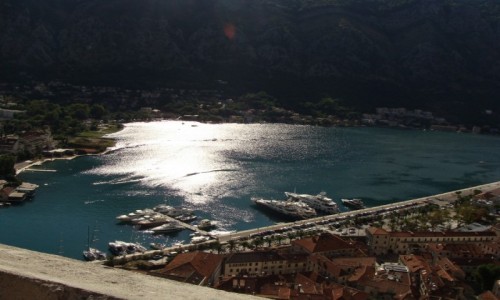 Zdjecie CZARNOGRA / Kotor / Kotor / Kotor