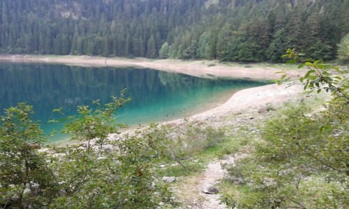 Zdjcie CZARNOGRA / Durmitor / Jezioro Czarne / Wok Jeziora Czarnego
