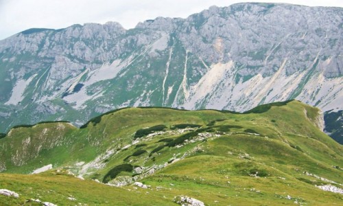 Zdjęcie CZARNOGÓRA / Durmitor / Durmitor / Durmitor