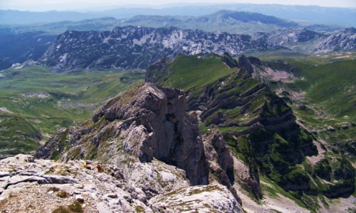 Zdjęcie CZARNOGÓRA / Durmitor / Durmitor / Durmitor