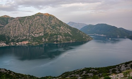 Zdjcie CZARNOGRA / - / Kotor / Zatoka kotorska