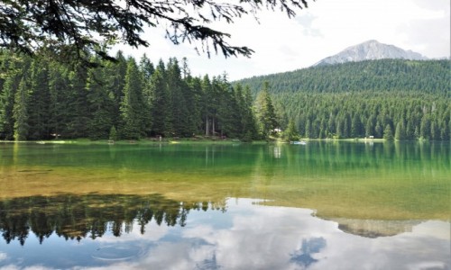 Zdjecie CZARNOGRA / Durmitor / Zabljak / Crno jezero...