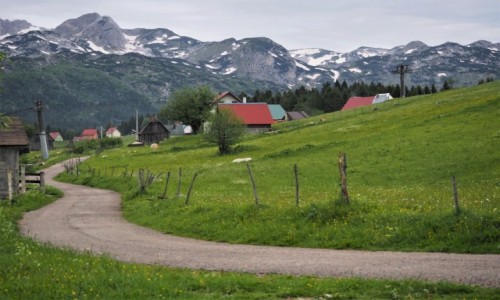 Zdjecie CZARNOGRA / Durmitor / Zabljak / u stp gr...