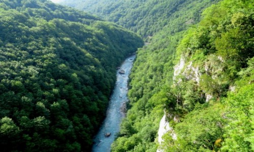 Zdjęcie CZARNOGÓRA / Park Narodowy Durmitor / kanion rzeki Tara / Kanion Tary...