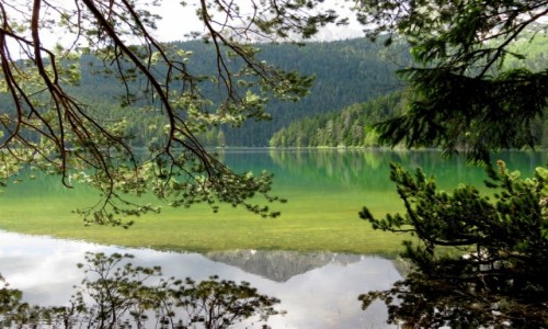 Zdjęcie CZARNOGÓRA / Góry Dynarskie / Zabljak, Crno Jezero / Savin Kuk - w lustrze...