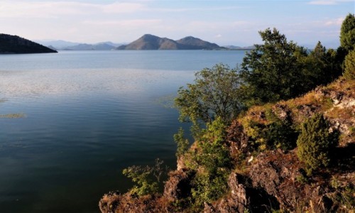 Zdjcie CZARNOGRA / na pograniczu Czarnogry i Albanii / Godinje / Jezioro Szkoderskie...