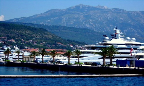 Zdjcie CZARNOGRA / Boka Kotorska / Tivat / Tivat port