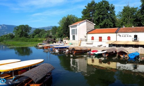 Zdjecie CZARNOGRA / Park Narodowy Skadarsko Jezero / Virpazar / jest w czym wybiera...