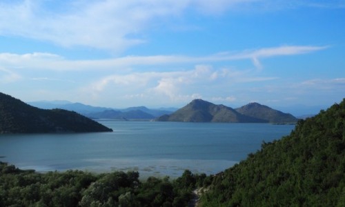 Zdjecie CZARNOGRA / Park Narodowy Skadarsko Jezero / Jezioro Szkoderskie / wieczorkiem...