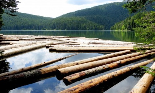 Zdjecie CZARNOGRA / Durmitor /  Zabljak / Crno Jezero...