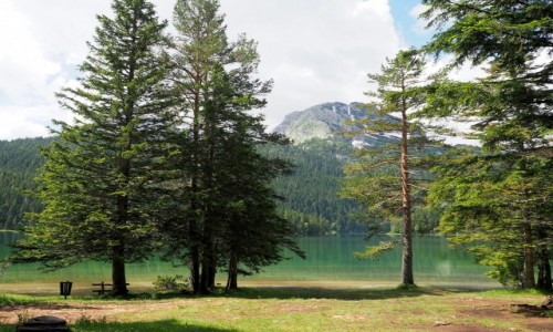 Zdjecie CZARNOGRA / Durmitor / Crno Jezero / jak kryszta...