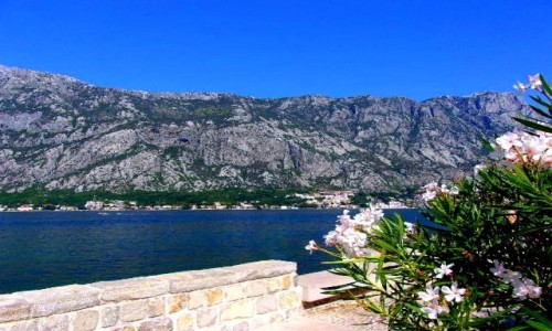 Zdjęcie CZARNOGÓRA / Boka Kotorska / Prcanj / Kotorski zaliv