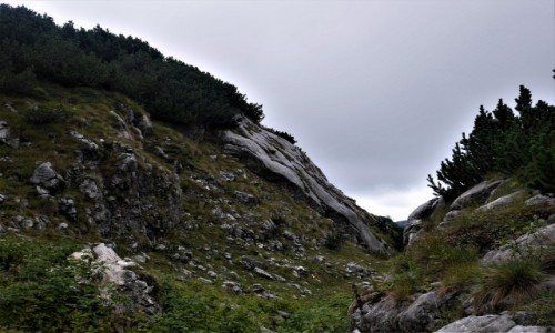 Zdjęcie CZARNOGÓRA / Góry Dynarskie / Durmitor / Durmitor