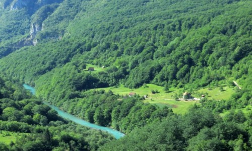 Zdjecie CZARNOGRA / - / Park Narodowy Durmitor / kanion Tary...