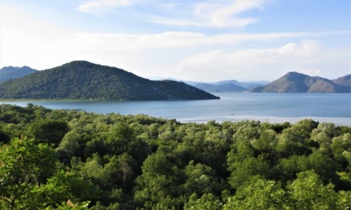 Zdjecie CZARNOGRA / - / Nacionalni Park Skadarsko Jezero / midzy Albani, a Czarnogr...