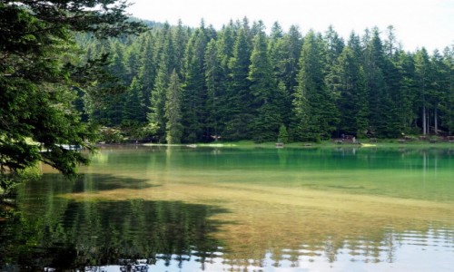 Zdjecie CZARNOGRA / Durmitor / Crno Jezero / mwi, e kaua...