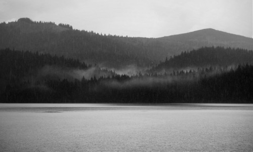Zdjecie CZARNOGRA / Durmitor / Crno Jezero / w strugach deszczu...