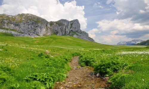 Zdjcie CZARNOGRA / Kolasin / Moraa / Krajobrazy Czarnogry