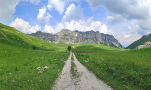 Zdjcie CZARNOGRA / Kolasin / Morake planine / Gry Dynarskie w Czarnogrze
